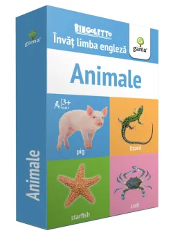 Animale, Invat limba engleza, Bingoletto