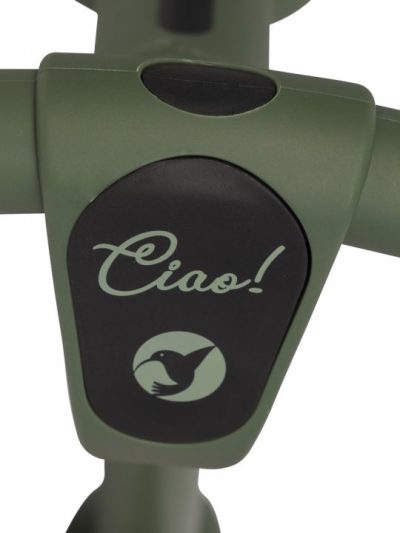 Bicicleta de echilibru pentru copii, fara pedale, pliabila, cu scaunelul si ghidonul reglabile pe inaltime, cu roti din cauciuc de 12 inch, Colibro Ciao Forest Green