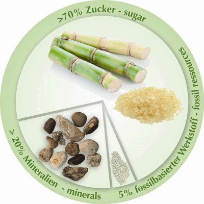 Cadita bio-degradabila din trestie de zahar Panda Rotho-babydesign