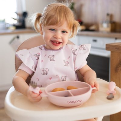 Farfurie din silicon cu ventuza si capac Babyono Roz